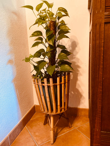 Cache-pot / Porte plante en bambou vintage en trépied